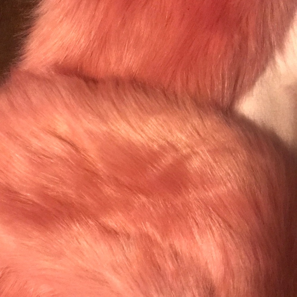🆕NWT Urban Outfitters Faux Fur Ascot / Scarf - Picture 12 of 16